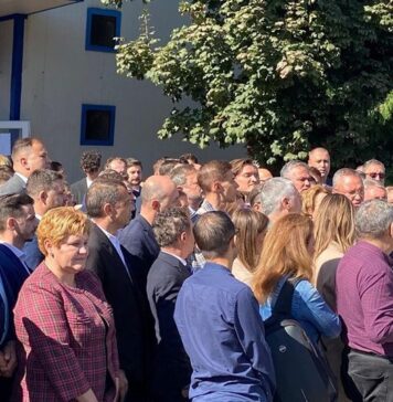 Oana Marciana Ozmen (PNL): Nicolae Ciucă va asigura echilibrul între instituțiile statului, va susține proiectele strategice pentru dezvoltarea României și va menține un dialog permanent cu cetățenii