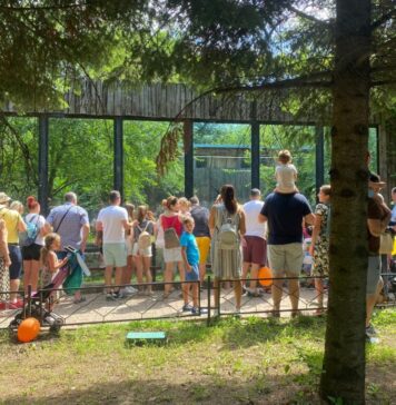 „Împărțim aceeași Planetă!”: Eveniment special la Grădina Zoologică București de Ziua Mondială a Animalelor