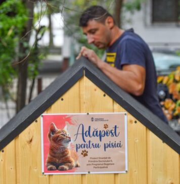 Și mai multe căsuțe pentru pisicile din Sectorul 6: Un cămin călduros pentru felinele comunității!