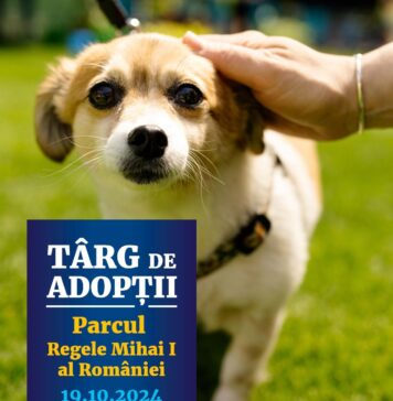 Un nou târg de adopții de căței, organizat în Parcul Regele Mihai I