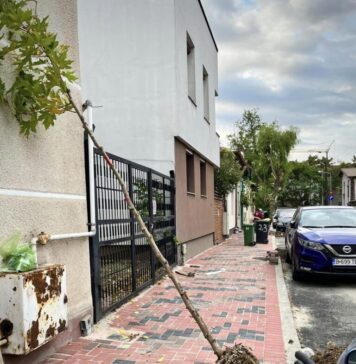 Acțiuni de împădurire urbană în Sectorul 3! Echipele primărei au ajuns pe străzile din zona Timpuri Noi-Splaiul Unirii