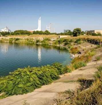 Primarul Ciprian Ciucu a semnat autorizația de construire a malului sudic al Lacului Morii