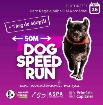 Concursul Dog Speed Run 50 m – alergare de viteză pentru căței, în Parcul Regele Mihai I al României