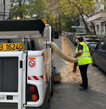 Tablou de toamnă cu frunze ruginii sau asfalt la vedere? Ce propune Primăria Sectorului 6