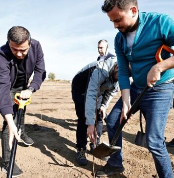 Sorin Grindeanu: Centura Verde București-Ilfov prinde viață!