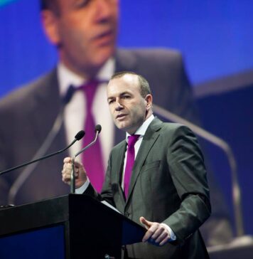 Manfred Weber și Roberta Metsola îl susțin pe Ciucă la prezidențiale: E singurul candidat care poate conduce cu succes România