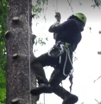 Meseria nerecunoscută în România unde se câștigă și 3.000 de euro