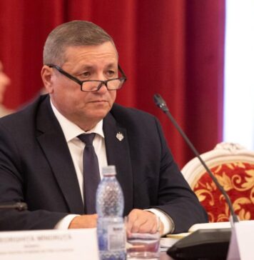 Mihai Dohotar (Senator PNL pentru Diaspora) anunță o propunere legislativă – facilități pentru românii care decid să se întoarcă în România