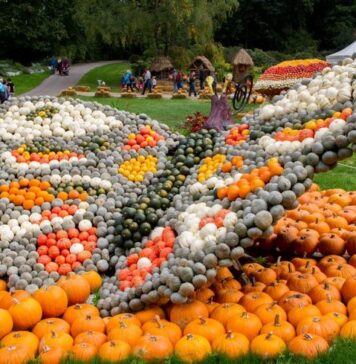 West Side Hallo Fest: Descoperă decorul magic cu autobuzul bântuit, dovleacul gigant și vrăjitoarea de trei metri/ Programul complet!