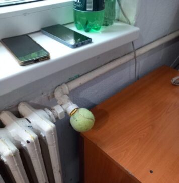 Verificări ANPC în 450 de grădinițe: Gândaci, mâncare expirată și echipamente de joacă defecte! ”Este de neconceput”