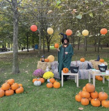 Titan Pumpkin Fest. Ateliere gratuite, spectacole de teatru şi concerte, în acest weekend, la Festivalul dovlecilor