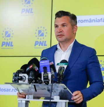 Stroe, despre cazul Diana Șoșoacă: Publicarea motivării CCR este crucială pentru a nu ajunge pe un tărâm al procedurilor nedemocratice
