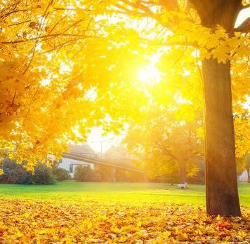 România trece la ”ora de iarnă”. Ceasurile se dau înapoi cu o oră