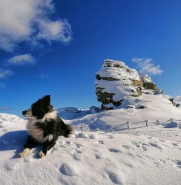 Salvamontiştii din Prahova avertizează asupra posibilităţii declanşării de avalanşe