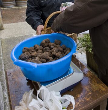 Avertisment al președintelui ANPM: Trufele românești ar putea dispărea, din cauza braconierilor