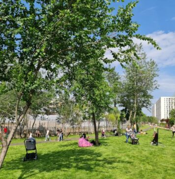 Protecţia Mediului solicită reglementare unitară pentru spațiile verzi din București. 20% din suprafaţa terenului pe sol natural şi 10% din suprafaţa terenului pe placă peste subsol