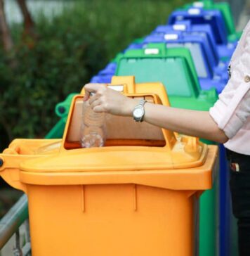 „Ce se întâmplă cu deșeurile după colectare?” – Drumul deșeurilor din Sectorul 5