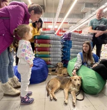 ASPA organizează sâmbătă, în incinta magazinului Maxipet din zona Mihai Bravu, un târg de adopții de căței