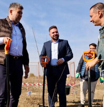 Vlad Popescu Piedone: Centura Verde a Capitalei, un pas esențial pentru sănătatea comunității și combaterea schimbărilor climatice