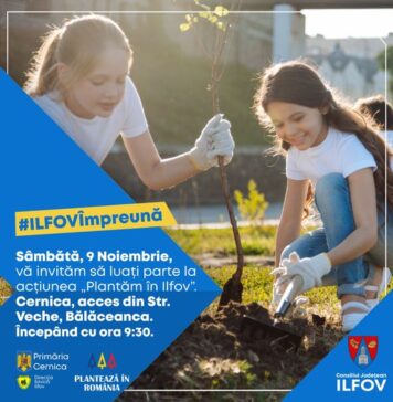 Acțiune de împădurire în Cernica: voluntari și autorități vor planta 10.000 de puieți în Ilfov