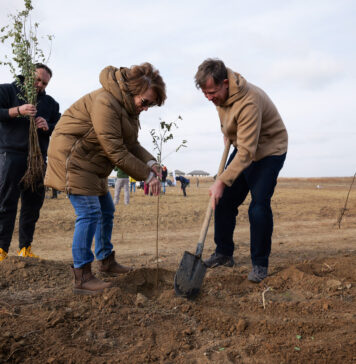 Comunitatea Ilfov a plantat 10.000 de puieți în localitatea Cernica pentru un viitor mai verde