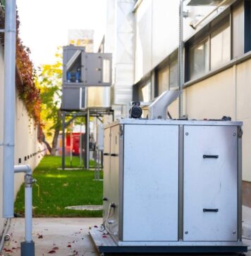 În Sectorul 6, risipa alimentară devine resursă prețioasă. Banca Locală de Alimente a primit un compostor profesional de ultimă generație