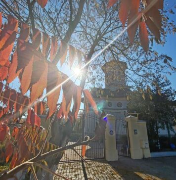 Gândul Zilei de la CJ Ilfov: “Treptele iertării – Greșelilor noastre le iertăm greu. Sau dacă iertăm, nu uităm. Și iertarea fără uitare e ca și cum n-ar fi, bătătură fără căine…”