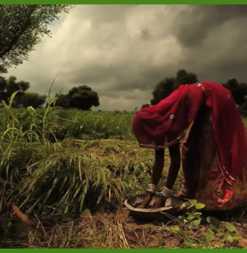 Proiecții cinematografice pentru elevi și profesori, în Săptămâna Europeană pentru Reducerea Deșeurilor