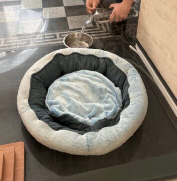 Primăria Sectorului 1 a amenajat un loc special pentru cățelușii veniți cu proprietarii lor la primărie