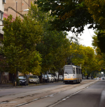 Liniile 14, 69 și 85, deviate sâmbătă pentru lucrări la rețeaua de canalizare de pe Bd. Ferdinand