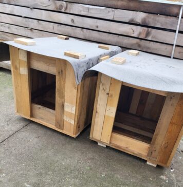 Deținuții din Penitenciarul Jilava construiesc cuști pentru câinii din adăpostul public Buftea