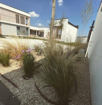 (P) Spatiu verde limitat in Bucuresti? Noi suntem solutia!