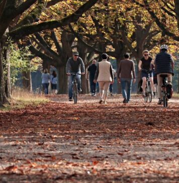 Primăria Sectorului 1 dorește să ia în administrare Parcul Floreasca și alte spații verzi