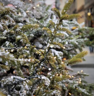 Sun Plaza aprinde luminițele de Crăciun și dă startul sezonului festiv cu un concert Connect-R și Jo&Band!