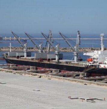 Port of Constanta must become industrial hub, with strong petrochemical component (state advisor)