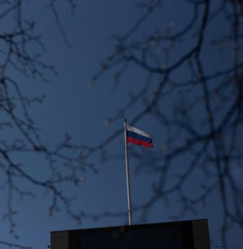 Un senator rus afirmă că în R. Moldova au fost „aduse” voturi pentru victoria Maiei Sandu