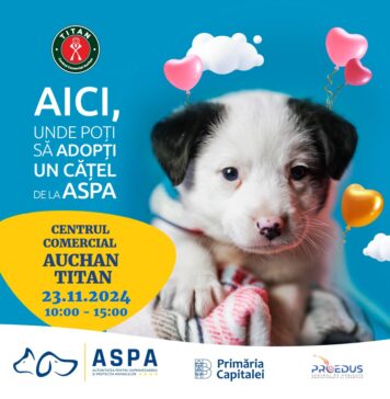 Târg de adopții ASPA la Centrul Comercial Auchan Titan. 10 căței sociabili și sănătoși așteaptă să își cunoască noile familii