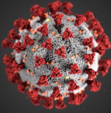 Health official: Hospital-acquired infections’ reporting rate significantly up, likely to reach EU average in 2 – 3 years