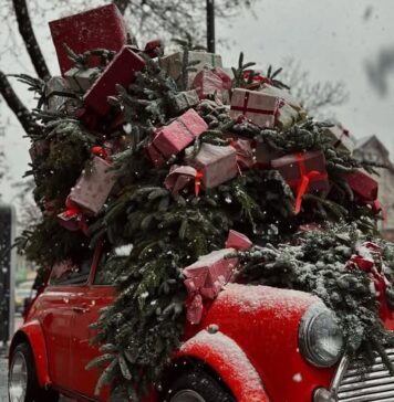 Magia Sărbătorilor ajunge la Glina: Proiectul „Acasă la Moș Crăciun” împreună cu Maison Dadoo