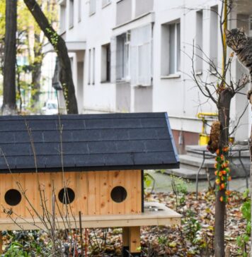 Zeci de căsuțe pentru pisici au fost montate în Sectorul 6