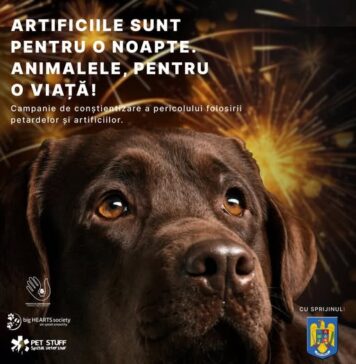 Campanie de conştientizare privind riscurile artificiilor şi petardelor, demarată de Protecţia Animalelor CJ Ilfov