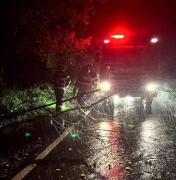 Pompierii ISU B-IF au gestionat 116 intervenţii în Bucureşti şi judeţul Ilfov, în urma fenomenelor meteo cod galben ce vizează intensificări ale vântului