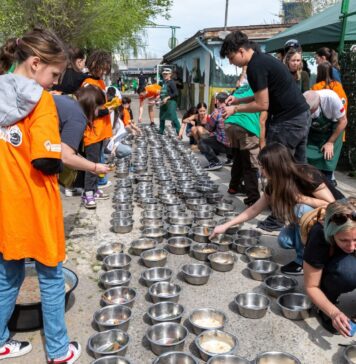 Ultima Tocăniță din 2024 la Adăpostul Speranța: trupa Coma și designerul Mihaela Glăvan, într-o atmosferă de poveste