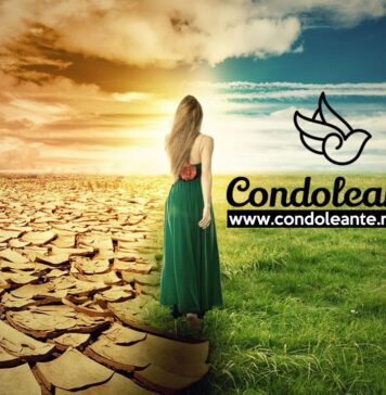 Condoleante.ro – Platforma de servicii funerare complete și informații utile pentru momentele grele