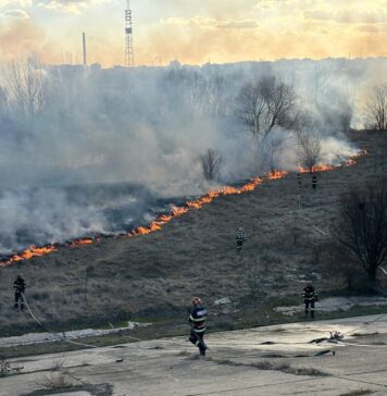 Camere de supraveghere în Parcul Văcărești. De ce apelează autoritățile la această metodă și cum vor funcționa