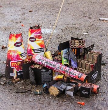 70,000 people have signed petition calling on government to ban sale of firecrackers (Declic Community)