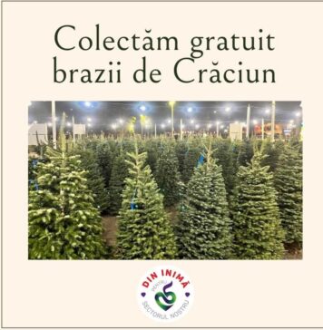 Primăria Sectorului 5, campanie de colectare gratuită a brazilor de Crăciun