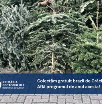 Primăria Sectorului 2 colectează gratuit brazii de Crăciun