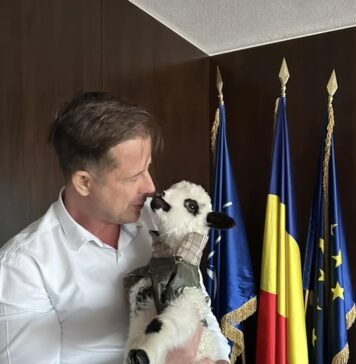 Pablo, un miel salvat de CJ Ilfov, își caută o familie. Hubert Thuma: „Este extraordinar de iubitor și de cuminte”