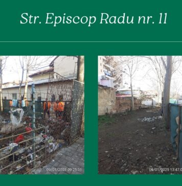 Acțiuni de salubrizare la mai multe imobile din Sectorul 2